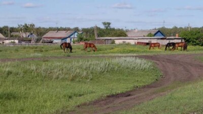 Солтүстік Қазақстандағы 300-ден астам елді мекен "болашағы жоқ" деп танылған