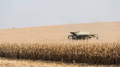 Қазақстанның астық консорциумы: "Зеренді-Астық" биыл рекордты өнім жинады