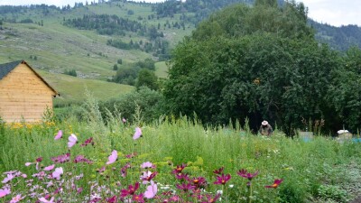 ШҚО мен Абай облысында жаңа 4 аудан құрылады