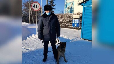 Ақмола облысында қызметтік ит екі ұрлықты ашуға көмектесті