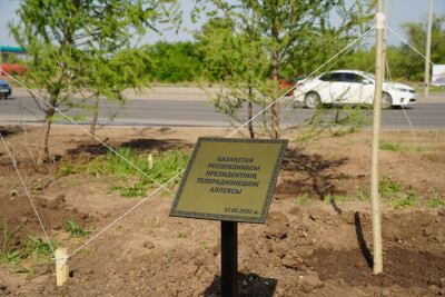 Нұр-Сұлтанда Президент Телерадиокешенінің аллеясы ашылды