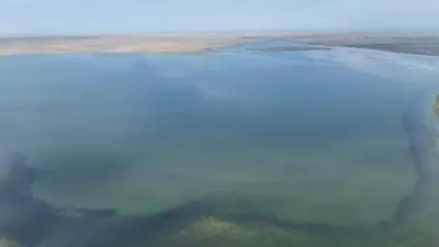 "Сорбұлақ сорымызға айналды". Депутат көл суын тексеретін мемлекеттік комиссия құруды ұсынды