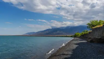 Тоқаев Алакөл маңын туристік маусымға дұрыс дайындамаған лауазымды тұлғаларды жауапқа тартуды тапсырды