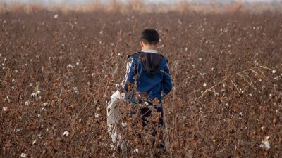 Мәжіліс депутаты: Мақталы өңірде бірде-бір тоқыма фабрикасы жоқ