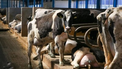 Қазақстан агроөнімнің болжамды экспортын 3,3 млрд долларға азайтпақ