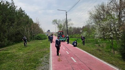 Шымкент жастары дендробақты көгалдандыру жұмыстарына қатысты
