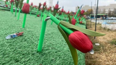 Ақтаудағы 15 млн теңге жұмсалған жасанды қызғалдақ алқабы бүгінде қаңырап бос тұр