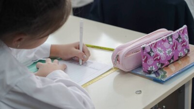 "Не қаулысы, не бұйрығы жоқ": Мәжіліс депутаты "Мақсатты мектептер" жобасына қарсы шықты