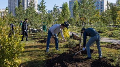 "Таза Қазақстан": 2024 жылы республикада 1,6 миллион ағаш отырғызылды
