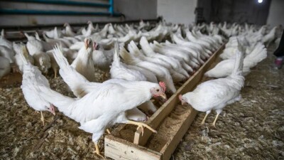 Павлодар облысында ірі кәсіпорын жабылып, жүзден астам адам жұмыссыз қалды