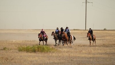 Бүгін "Ұлы дала жорығы" басталады. 100 шабандоз 14 күнде 1300 шақырым жол жүреді