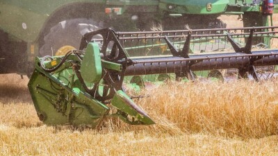 Қазақстанға өзге елден автокөлікпен бидай әкелуге 6 айға тыйым салынбақ