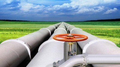 "Бейнеу-Бозой-Шымкент" құбырын салу үшін 51 гектар орман алқабы пайдаланылады