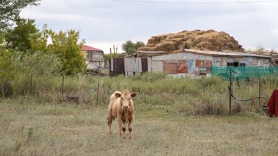 Шағын несие мен әлеуметтік нысандар: Үкімет ауылды қалай дамытуды жоспарлап отыр?
