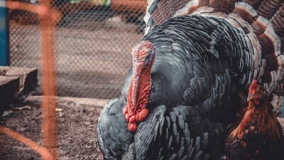 Алматы хайуанаттар бағы жазғы маусымға кірісті