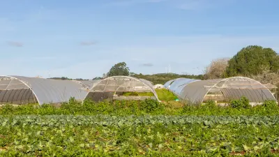 Ауыл шаруашылығы өнімдерінің 70 пайызы шикізат түрінде экспортталады – "Атамекен" ҰКП