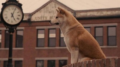 Өмірде болған ғажайып оқиғалар туралы үздік 5 фильм. Информбюро таңдауы