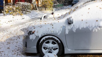 СҚО-да айыппұл тұрағындағы көліктер 500 мың теңге бастапқы бағамен сатылып жатыр