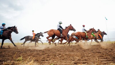 Жүлде қоры – 25 млн теңгеге жуық: Павлодарда бәйге шабатын жылқылар белгілі болды