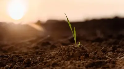 Агробизнестегі алғашқы қадамдарға стратегиялық көзқарас