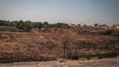 Мал жаятын жер жоқ: Алматы облысының жайылым аумағында заңсыз құрылыс басталған