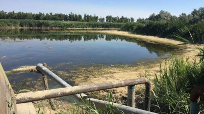 Қызылордада қоқыс басқан шағын көлдерден шыққан жағымсыз иіс түрлі ауру тудырып отыр