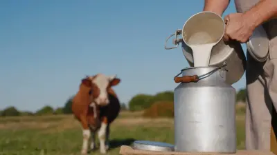 Қазақстанда жануарлар арасында таралу қаупі жоғары 68 ауру бар