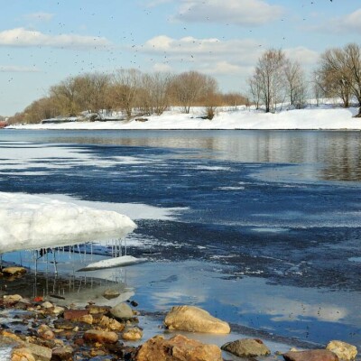 Қызыр қамшысы, бесқонақ, бөрісырғақ. Қазақ халқы ауа райын қалай болжаған? 