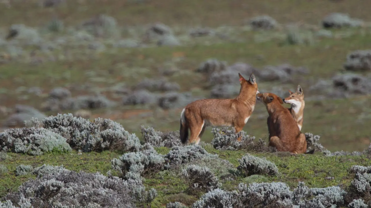 Фото: Depositphotos.com