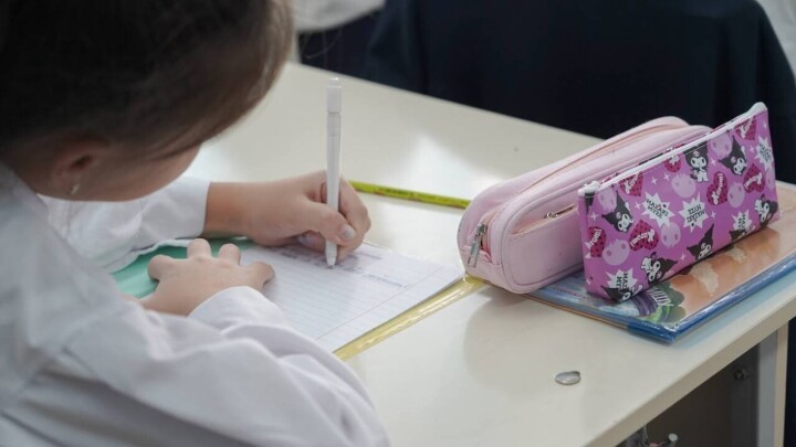 "Не қаулысы, не бұйрығы жоқ": Мәжіліс депутаты "Мақсатты мектептер" жобасына қарсы шықты