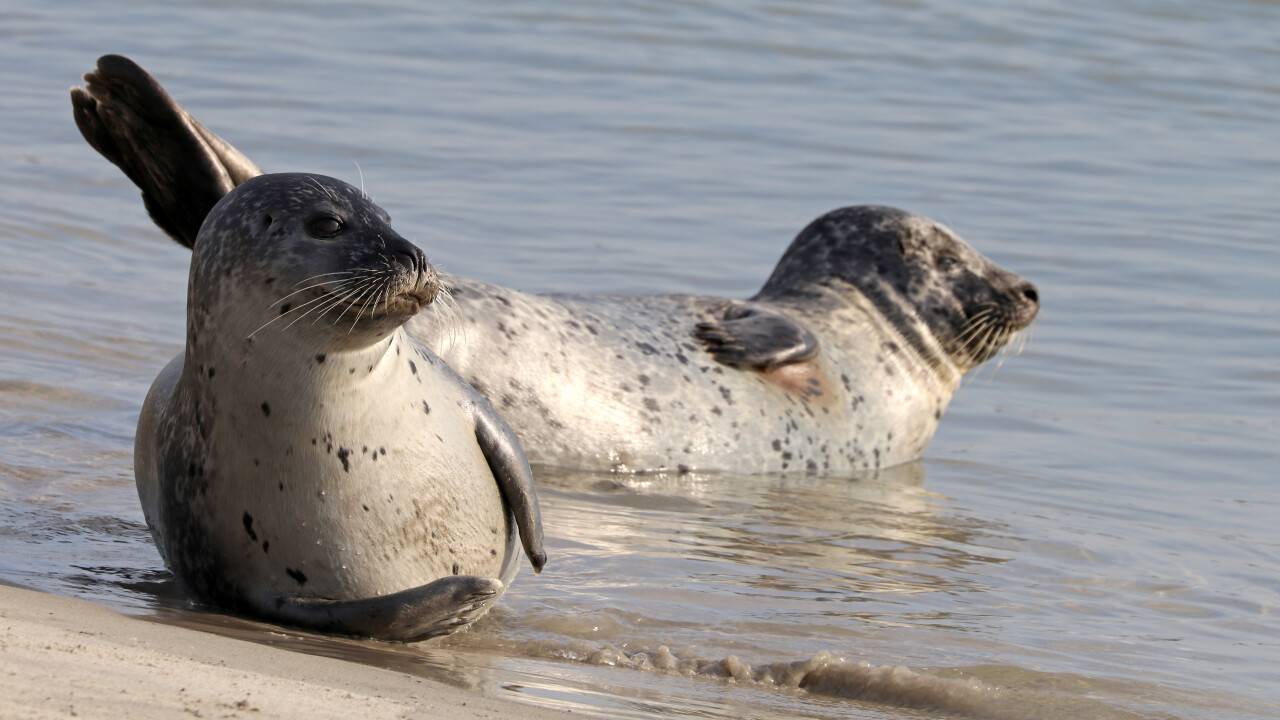 Маңғыстау облысының аумағы ұлғайтылады. Бұл не үшін қажет?