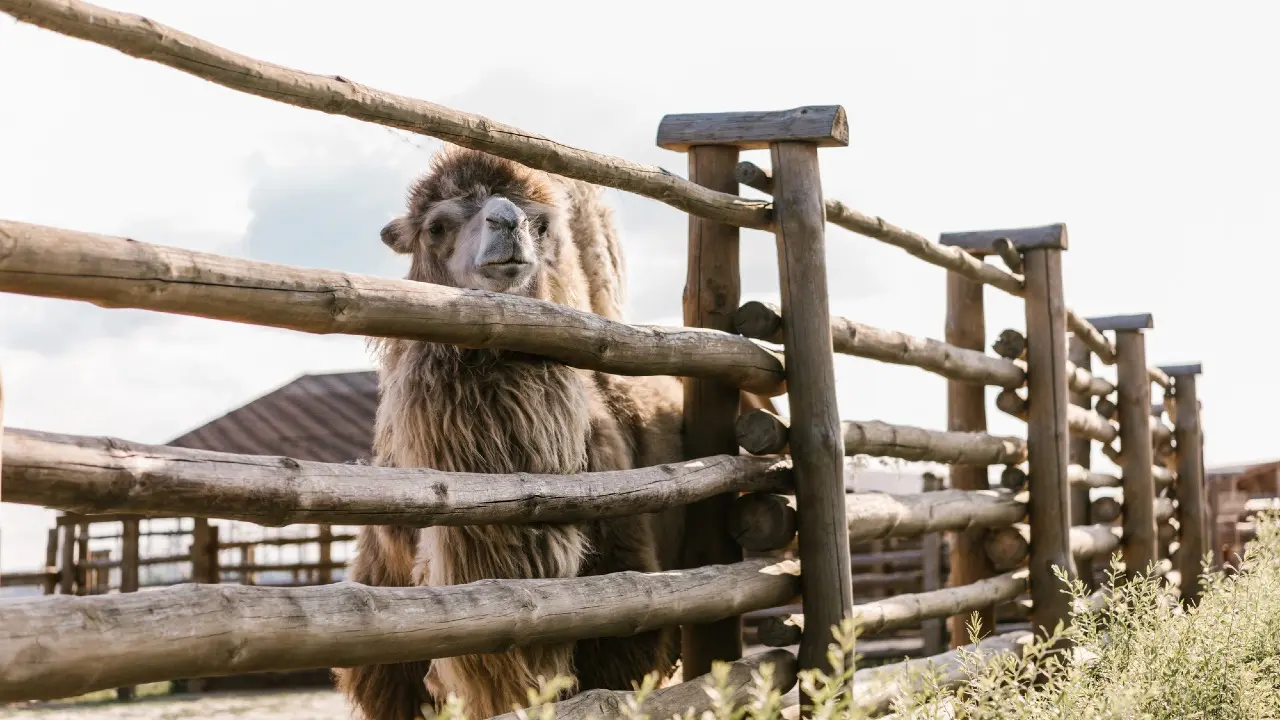 Фото: Depositphotos.com