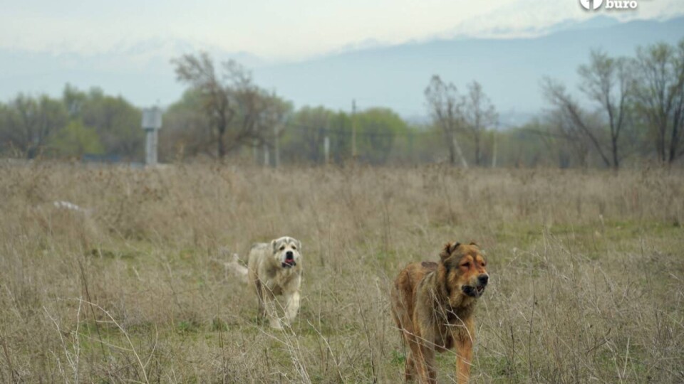 Фото: Informburo.kz