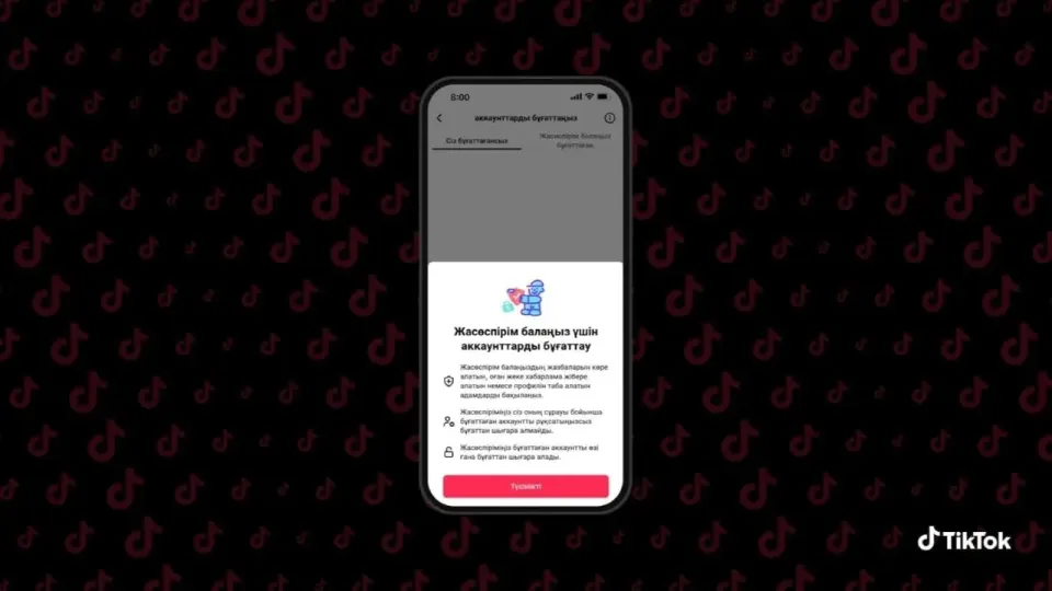 Фото: TikTok
