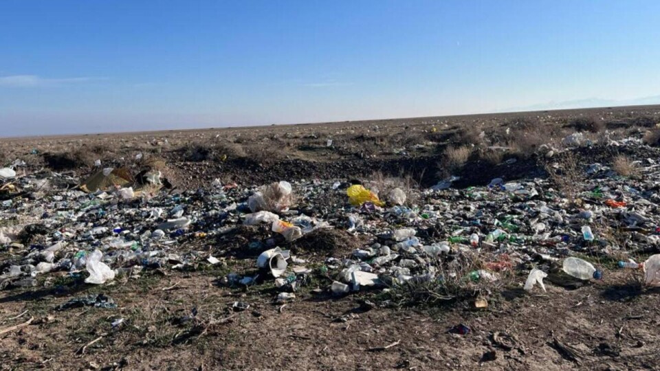 Фото: Алматы облысы бойынша экология департаменті