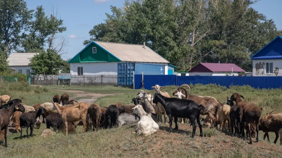 Фото: Informburo.kz