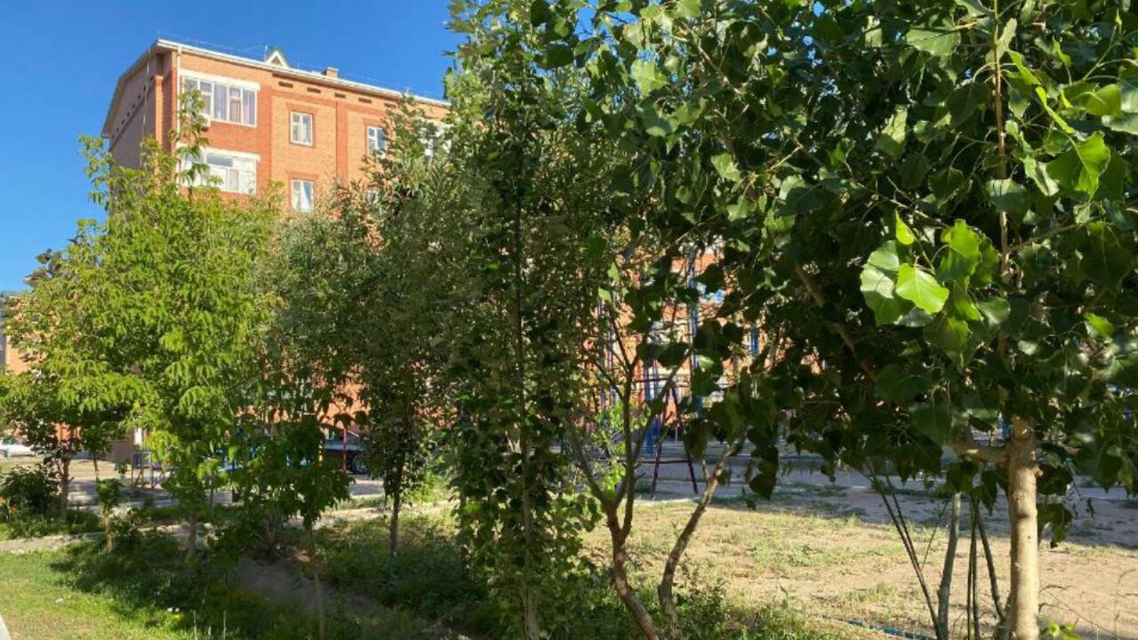 Сыр бойы тұрғындары "Таза Қазақстан" акциясына белсенді үлес қосып жатыр