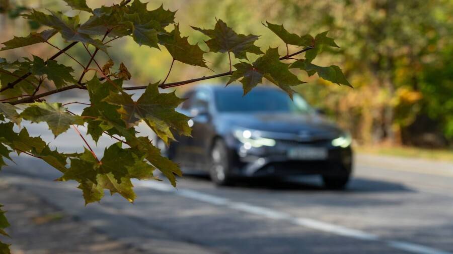 Қазақстанда қанша көлік бар? Автостатистика