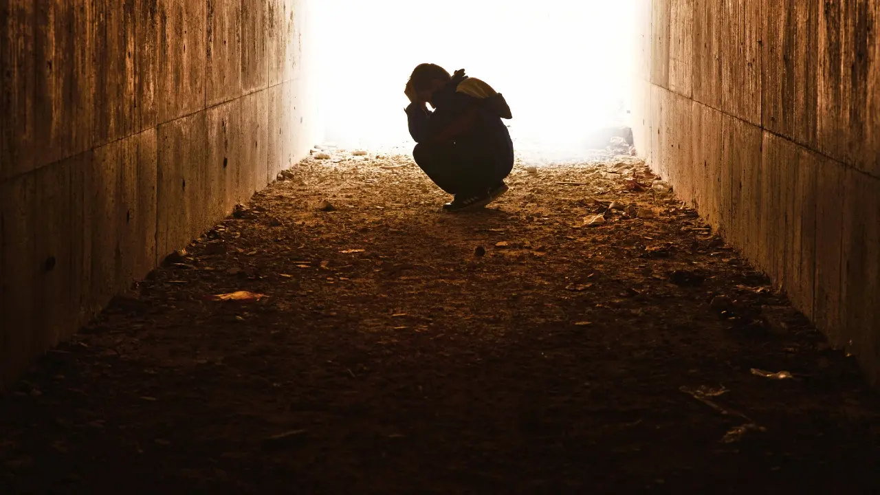 2024-2025 жылдары ІІ дүниежүзілік соғыстан кейінгі қарулы қақтығыстардың жоғары деңгейі тіркелді