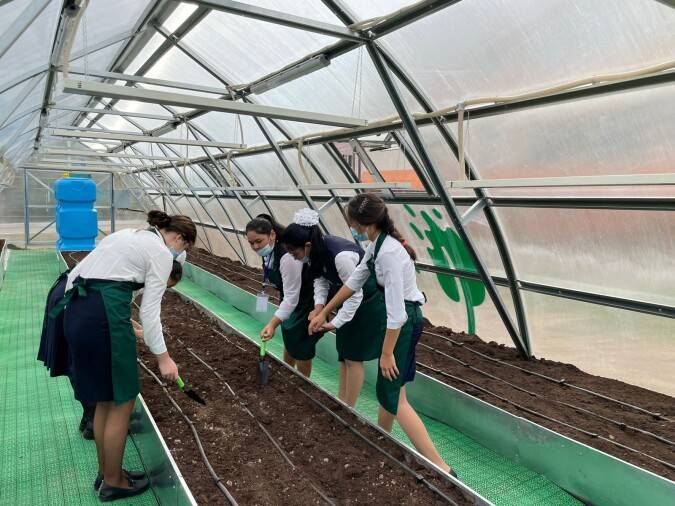 Алматылық оқушылар "Жасыл мектеп" жылыжайларында көкөніс егіп, оны өздері тұтынады