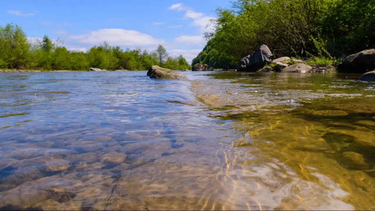 Фото: Depositphotos.com