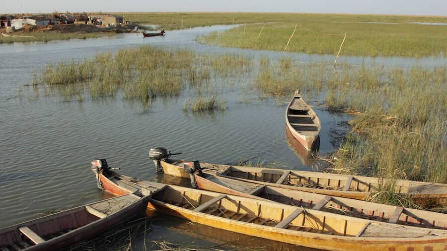 Ирактағы Месопотамия батпағы жойылу алдында тұр