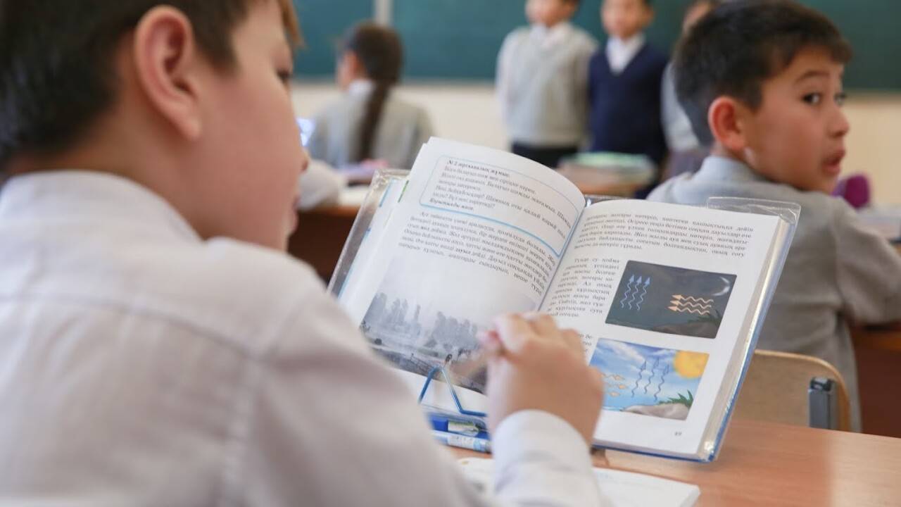 "Балалар кітапханасы": Оқу министрлігі мектептерді көркем әдебиетпен қамтамасыз етеді