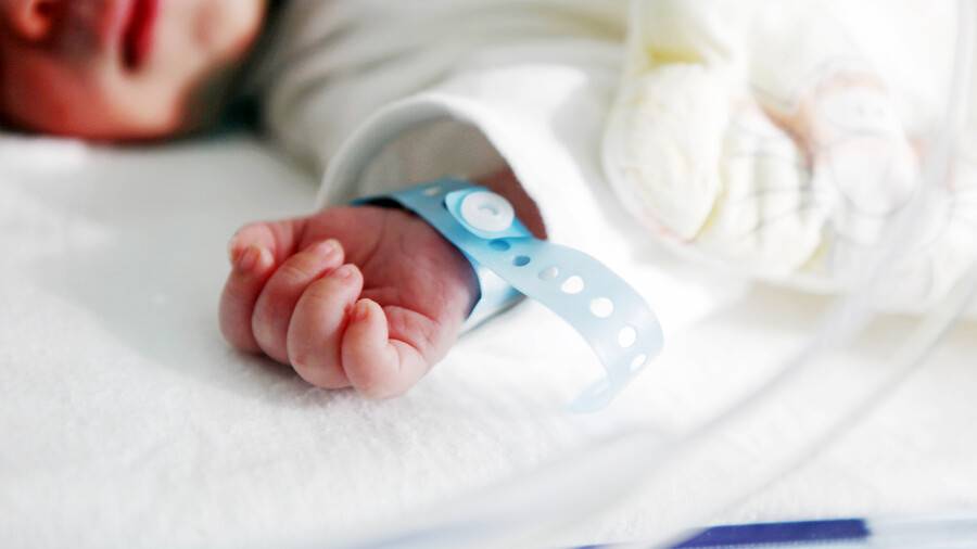 Петропавлда алып бала дүниеге келді