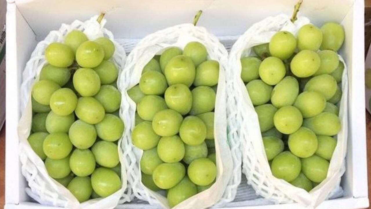 АШМ "Шайн мускат" жүзіміне қатысты мәлімдеме жасады