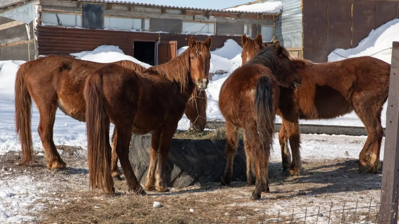 Фото: Informburo.kz