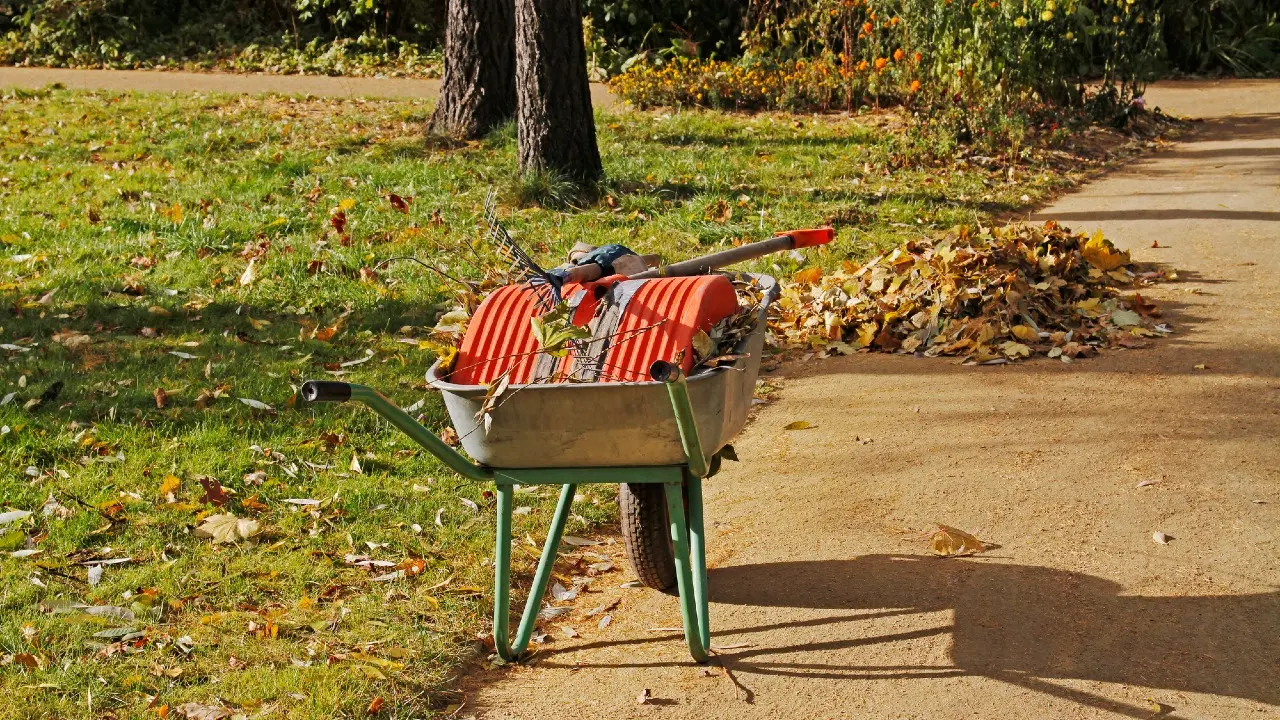 Фото: Depositphotos.com