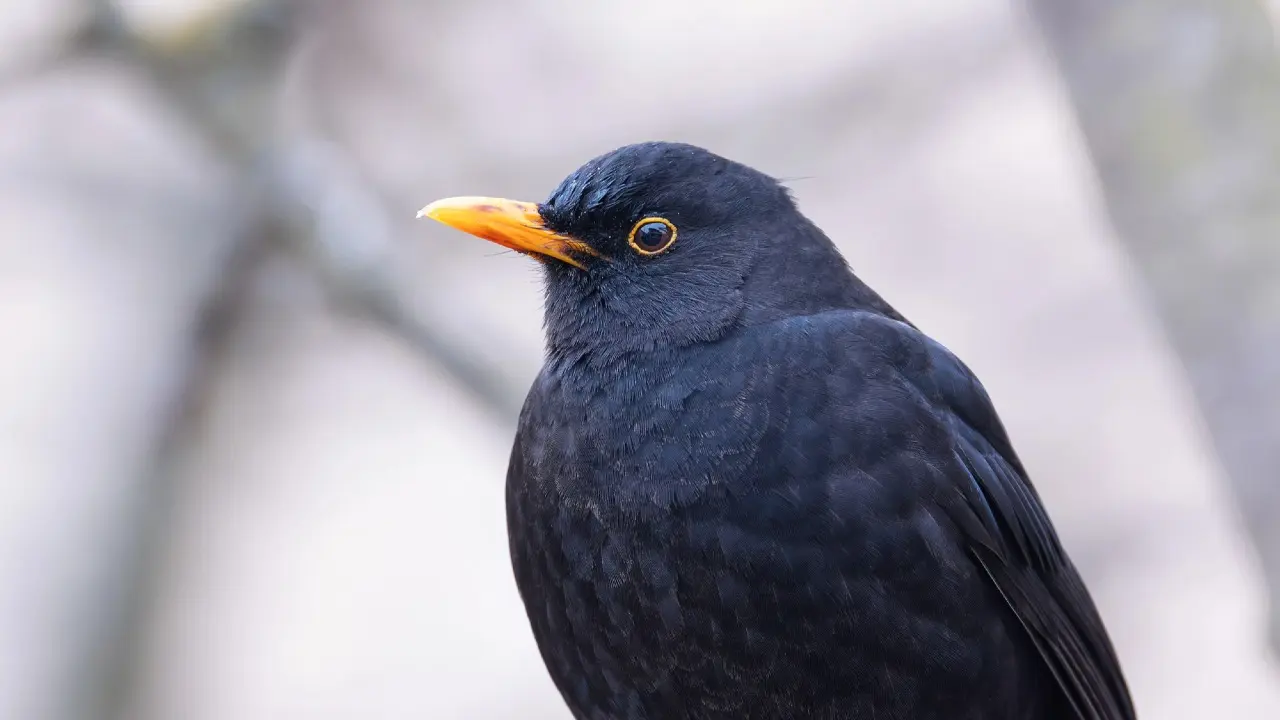 Фото: Depositphotos.com