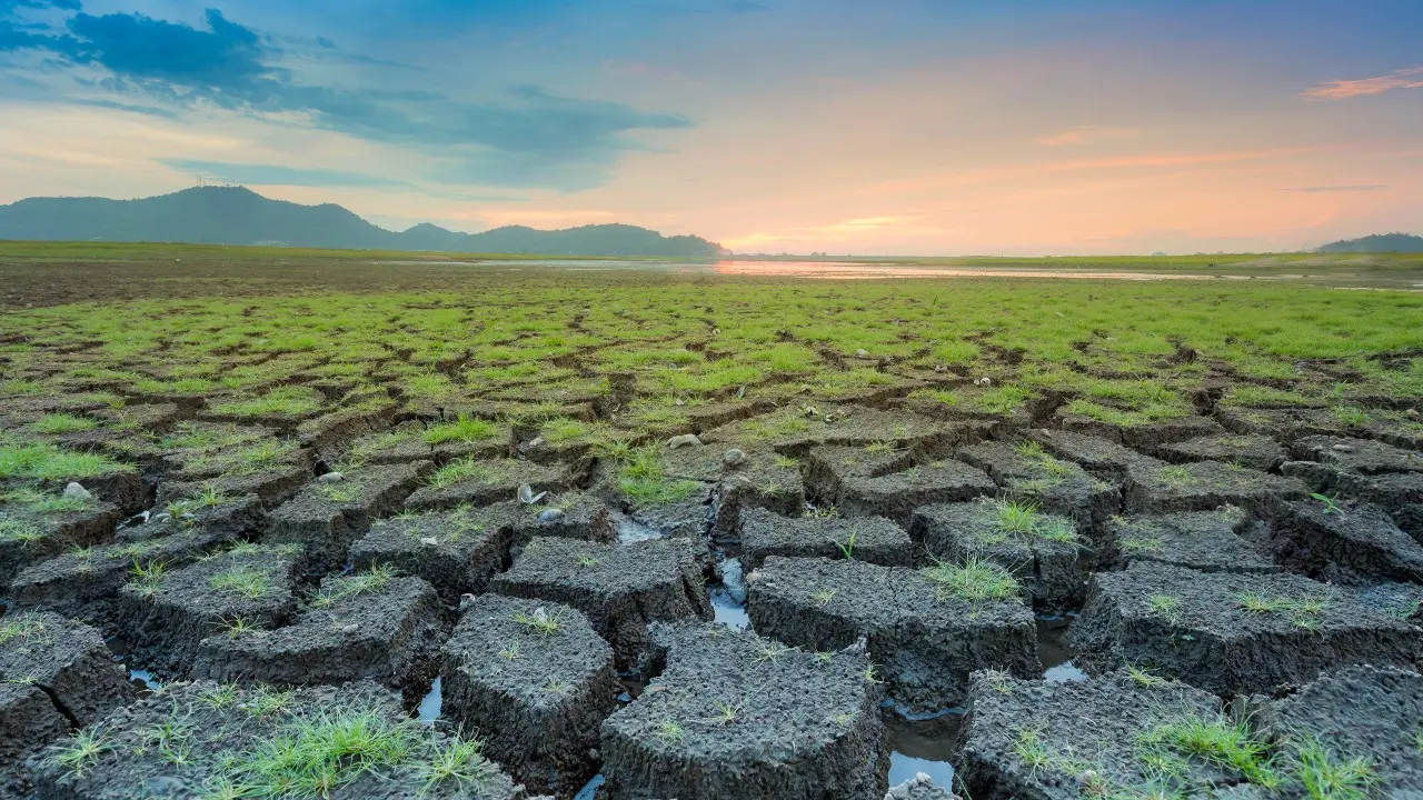 Фото: Depositphotos.com