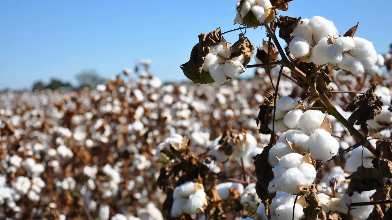 Фото: Depositphotos.com